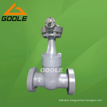 Class 600~2500 Pressure Seal Gate Valve (GAJ541H)